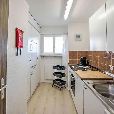 Apartment Chesa Ova Cotschna 305 By Interhome *