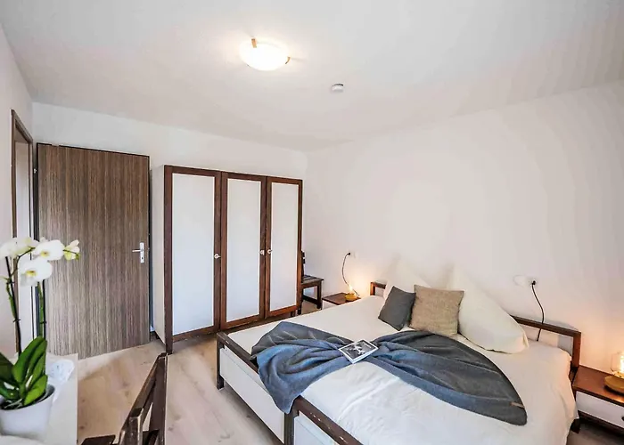 Appartement Chesa Ova Cotschna 305 By Interhome *