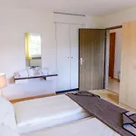 Appartement Chesa Ova Cotschna 305 By Interhome *